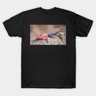 Colourful Lizard in the Serengeti T-Shirt